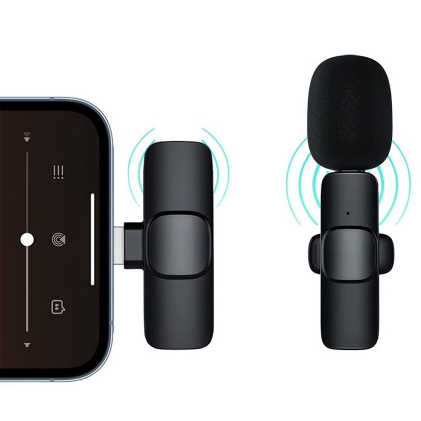 Portable Microphone