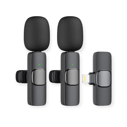 Portable Microphone
