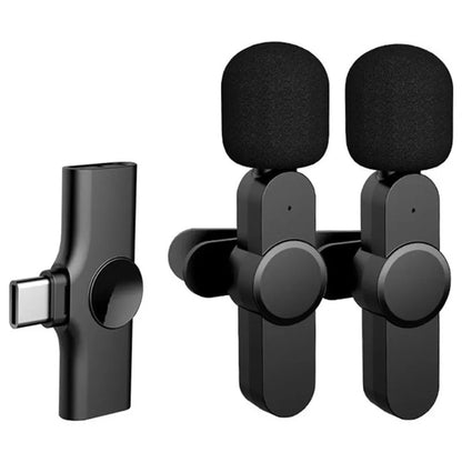 Portable Microphone